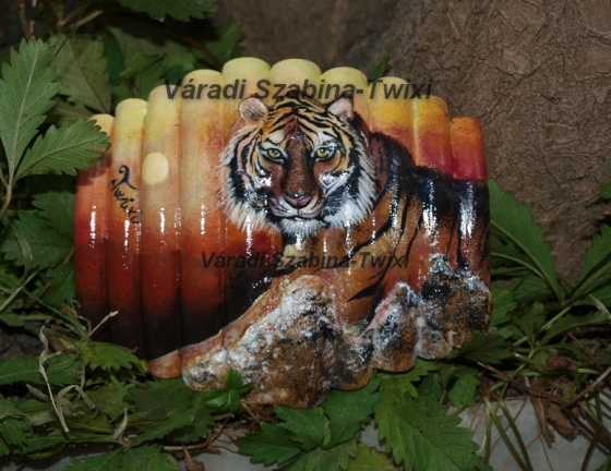 Váradi Szabina - Tigris - 2009-10-28 18:44